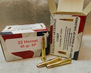 22 Hornet 45 gr SP 2800 fps