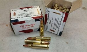 25 cal (.257 / 25-06)