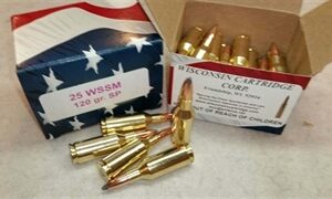 25 WSSM 117 gr SP (20 rounds)(New)