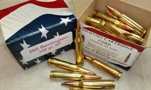 260 Rem 120 gr SP 2950 fps (20 Rounds)(New)