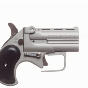 Bearman Derringer 38 Special Satin Black